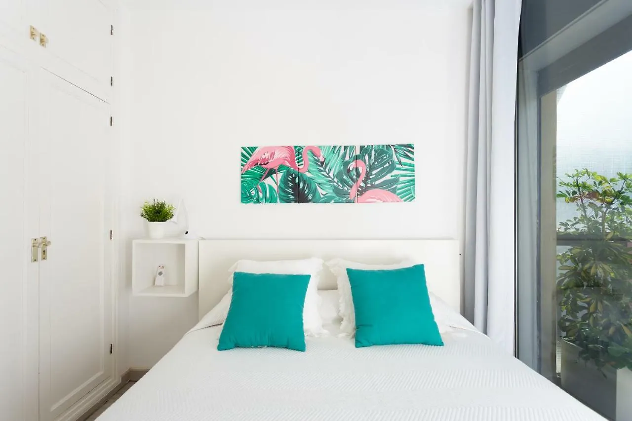 Monkey House Apartment Santa Cruz de Tenerife